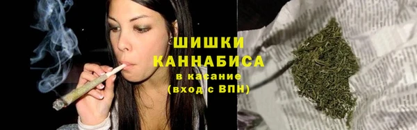 стафф Кулебаки