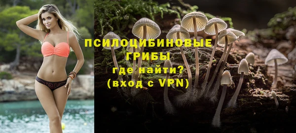 ПСИЛОЦИБИНОВЫЕ ГРИБЫ Куйбышев