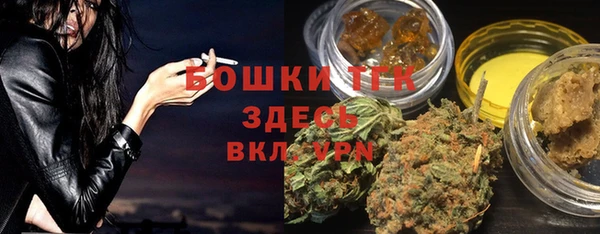 стафф Кулебаки