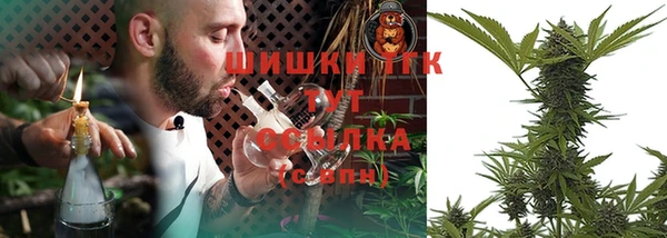 стафф Кулебаки
